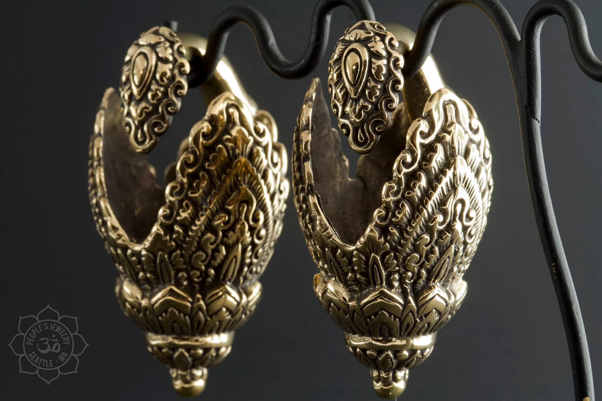 Naga Brass Ear Weights. 1/2 inch - 12mm or larger to wear.